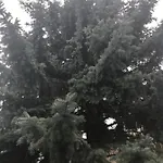 Balatonkenesei Vendeghaz Διαμέρισμα Balatonkenese