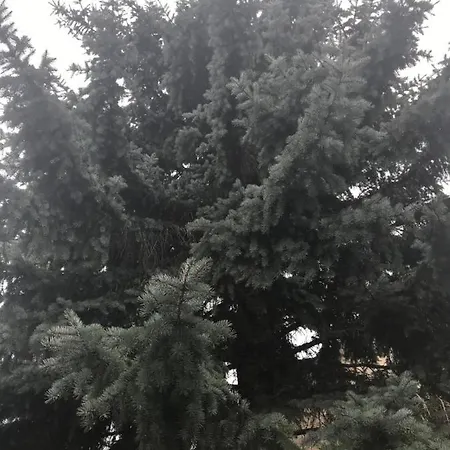 Balatonkenesei Apartman Balatonkenese