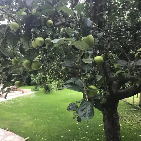 Balatonkenesei Apartman Balatonkenese